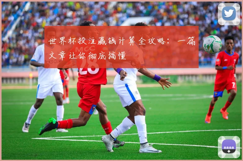 世界杯投注赢钱计算全攻略：一篇文章让你彻底搞懂