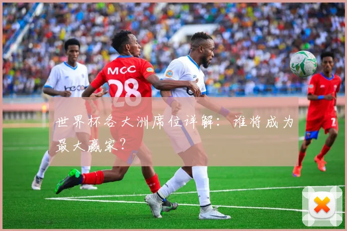 世界杯各大洲席位详解：谁将成为最大赢家？