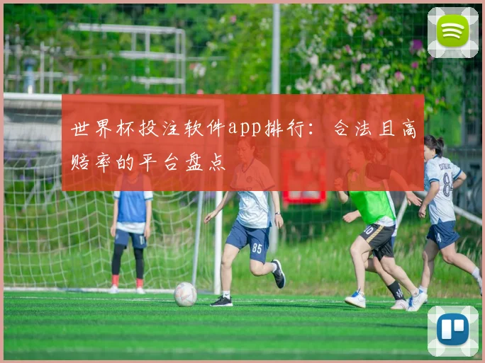 世界杯投注软件app排行：合法且高赔率的平台盘点