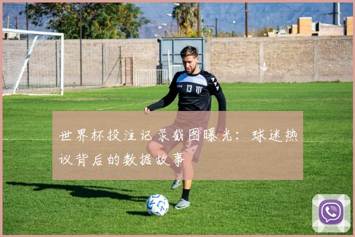 世界杯投注记录截图曝光：球迷热议背后的数据故事