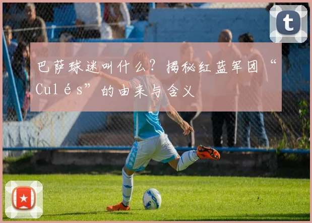 巴萨球迷叫什么?揭秘红蓝军团“Culés”的由来与含义