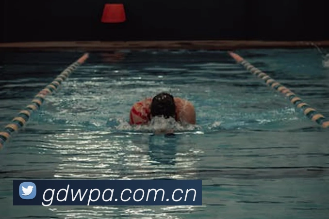 亚搏app官网APP 封面图